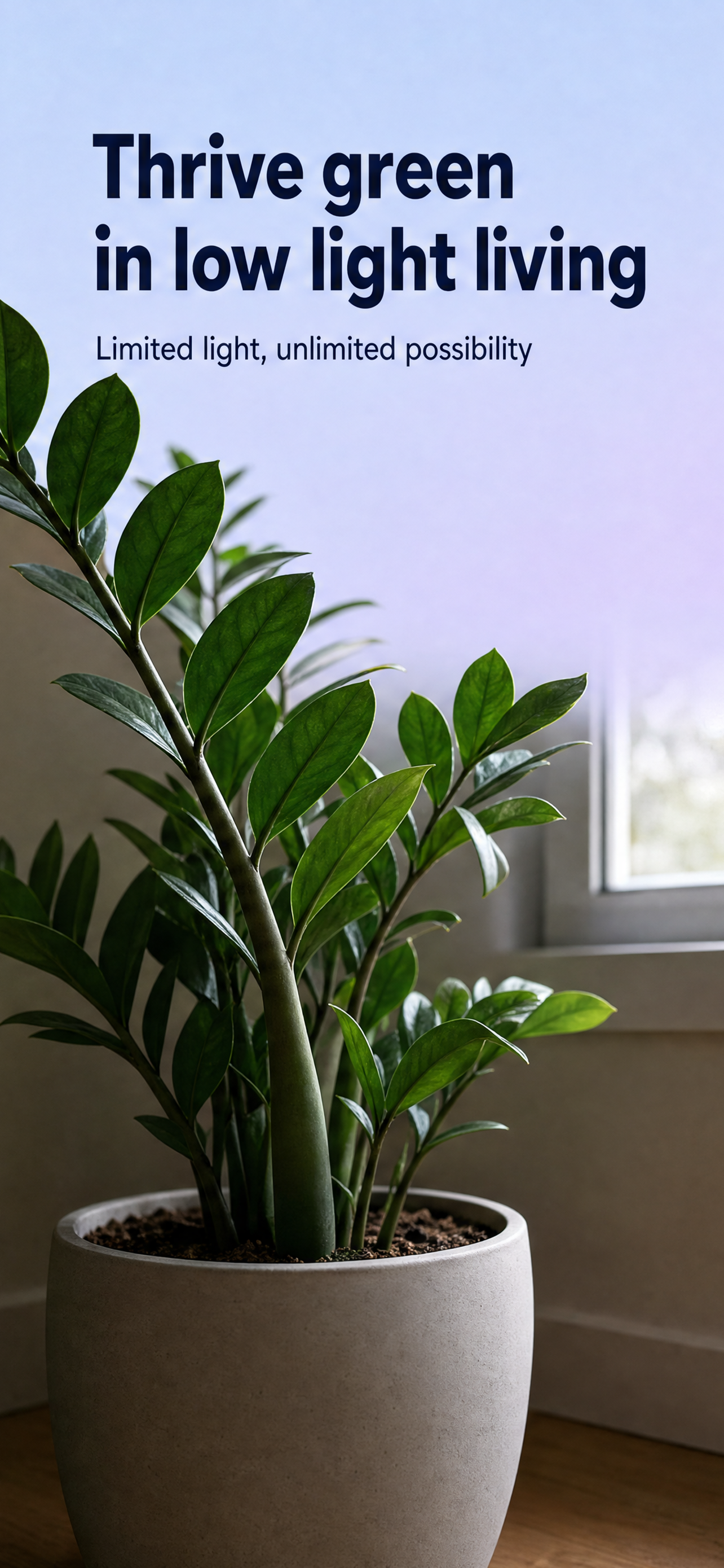 Thrive green in low light living